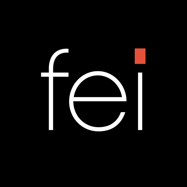 FEI Foodservice Equipment International Logo